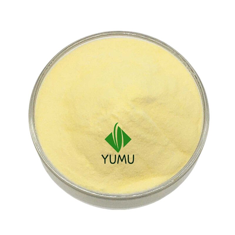 Soybean Lecithin - Manufacturer - Pure Food Grade Additive Bulk