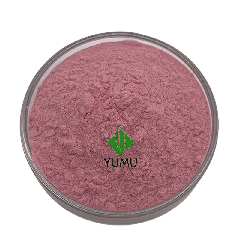 Acai Berry Powder - Manufacturer - Pure Food Grade Additive Bulk