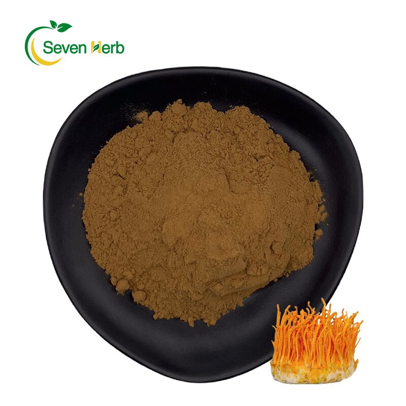 Cordyceps Militaris Powder Manufacturer - 10:1 Organic Mushroom Extract