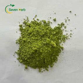Moringa Leaf Powder Manufacturer - 100% Pure Oleifera for Diet