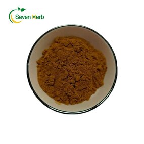 Ivy Leaf Extract Powder Manufacturer - 10% Hederacoside C Food Grade