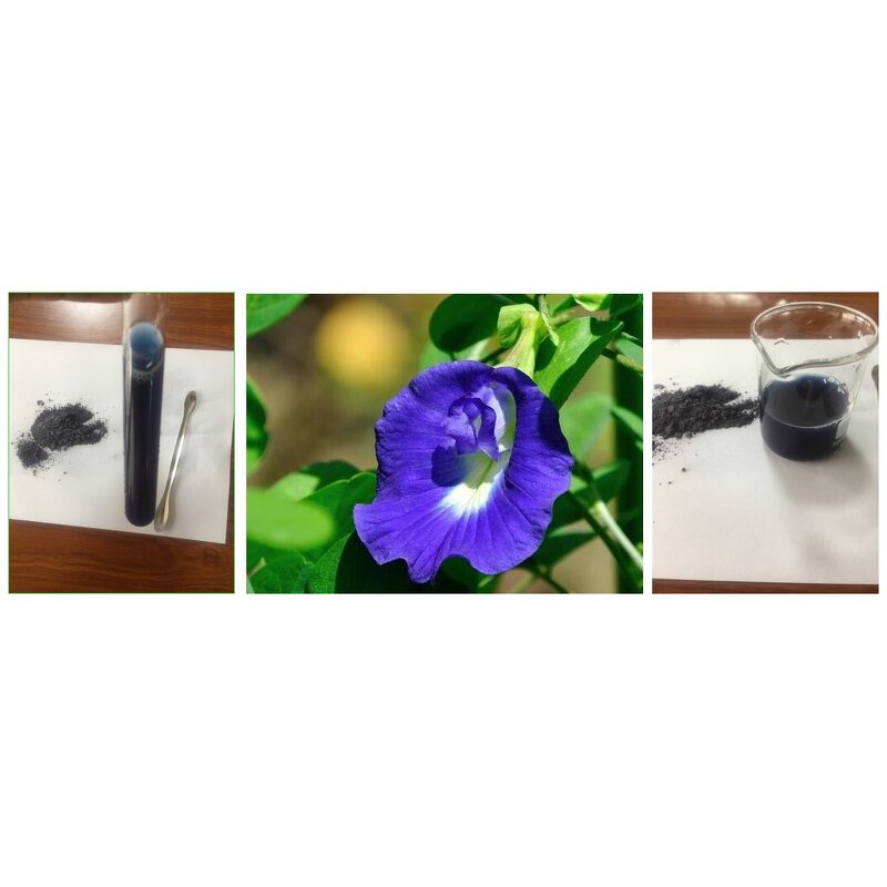 Butterfly Pea Powder Manufacturer - Natural Pigment Fine Tea Flower