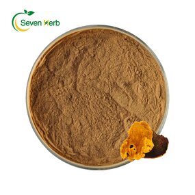 Phellinus Linteus Extract Powder Manufacturer - 10:1 20:1 Organic