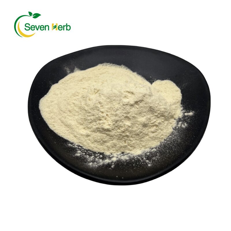 Pumpkin Seed Protein Powder Manufacturer - Organic