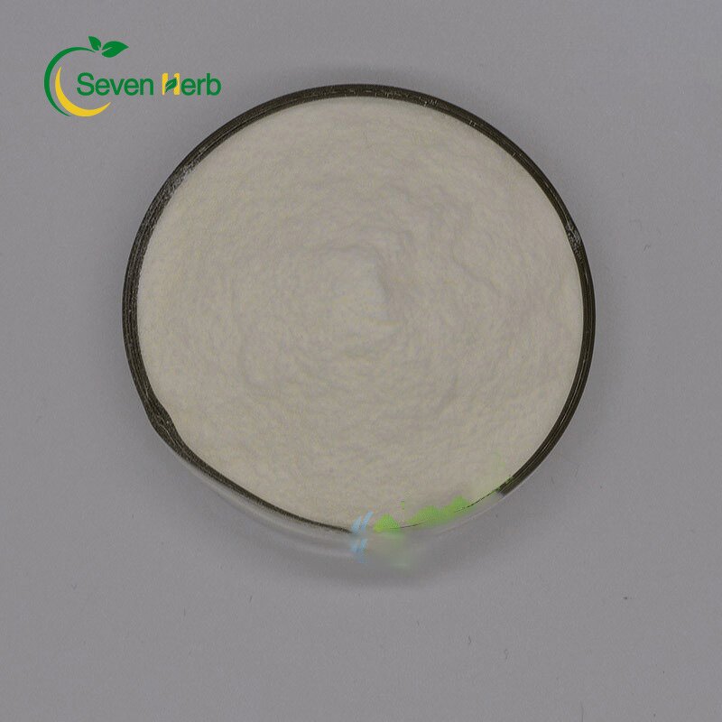 Sunflower Seed Protein Powder Manufacturer - Natural 50%