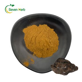 Shilajit Extract Powder Manufacturer - Himalayan 20%-50% Fulvic Acid
