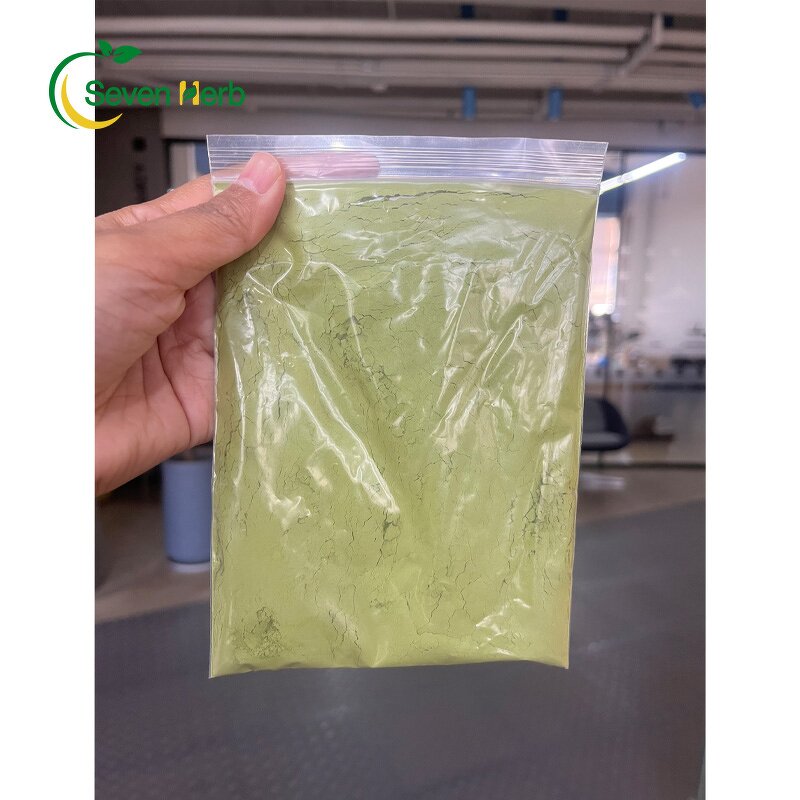 Moringa Leaf Powder Manufacturer - 100% Pure Oleifera for Diet