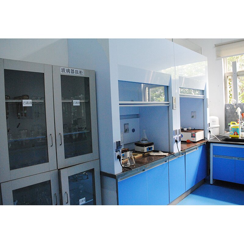 Pumpkin Seed Protein Powder Manufacturer - Organic