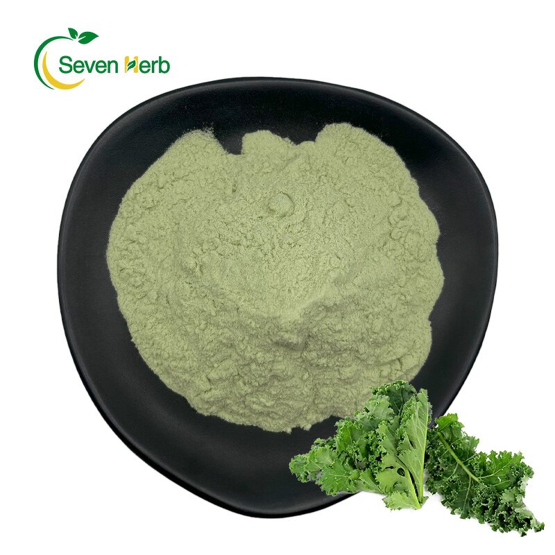 Kale Powder Manufacturer - Superfood Freeze-Dried Leaf Juice Organic