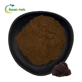 Chaga Mushroom Extract Powder Manufacturer - 100% Pure Natural