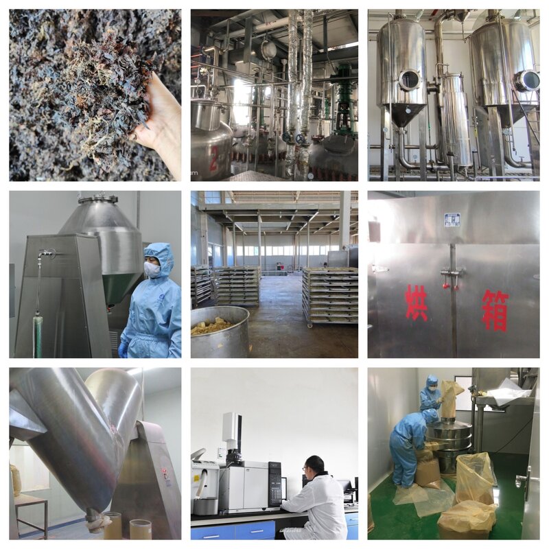 Sunflower Seed Protein Powder Manufacturer - Natural 50%