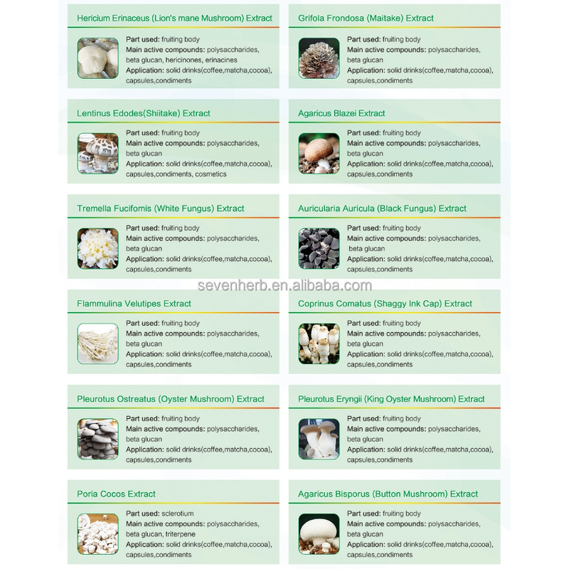 Phellinus Linteus Extract Powder Manufacturer - 10:1 20:1 Organic