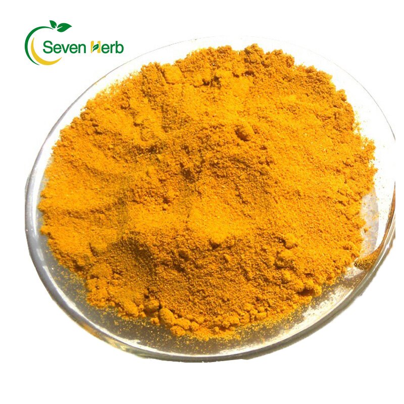 Curcumin Powder Manufacturer - Liposomal Liposome