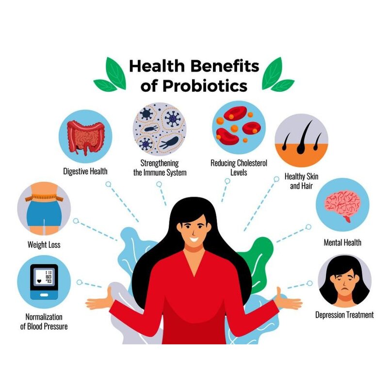 Probiotics Powder Manufacturer - Lactobacillus Rhamnosus Dietary