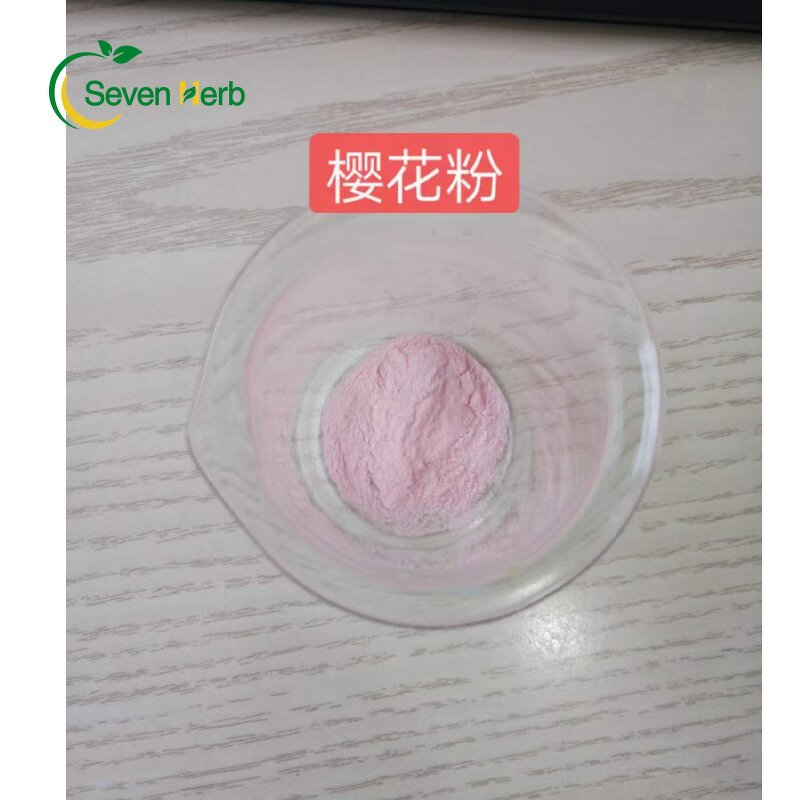 Cherry Blossom Powder Manufacturer - 100% Pure Sakura Flower Extract