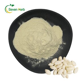 Pumpkin Seed Protein Powder Manufacturer - Organic