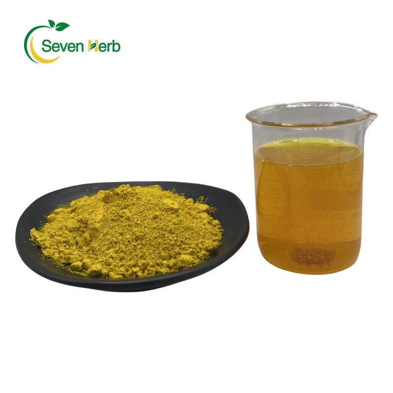 Berberine HCL Powder Manufacturer - 97%-98% Three Needle Extract