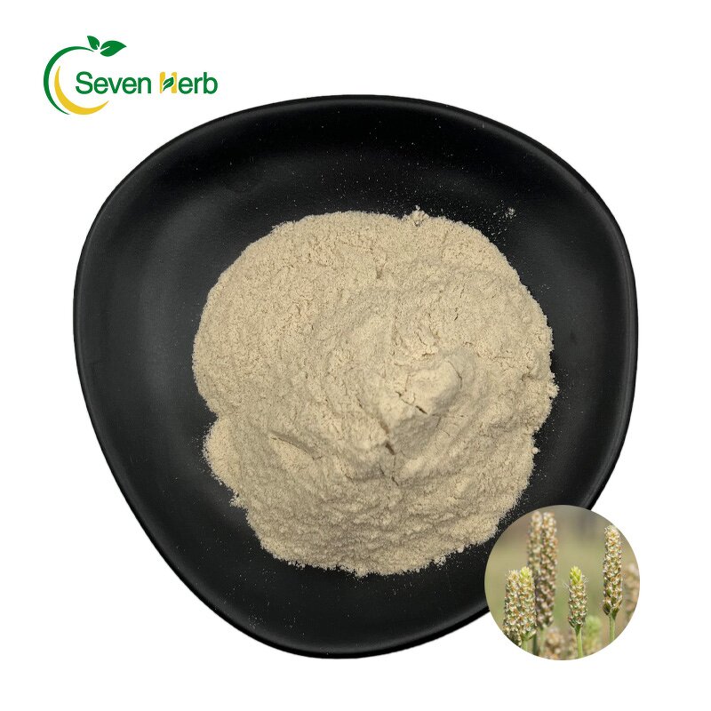 Psyllium Husk Powder Manufacturer - 99% Pure Fiber for Weight Loss