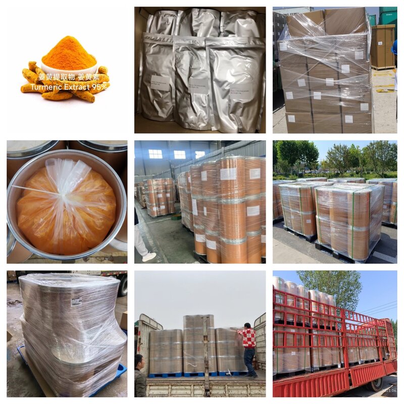 Reishi Spore Powder Manufacturer - Shell Broken Mushroom Extract Organic
