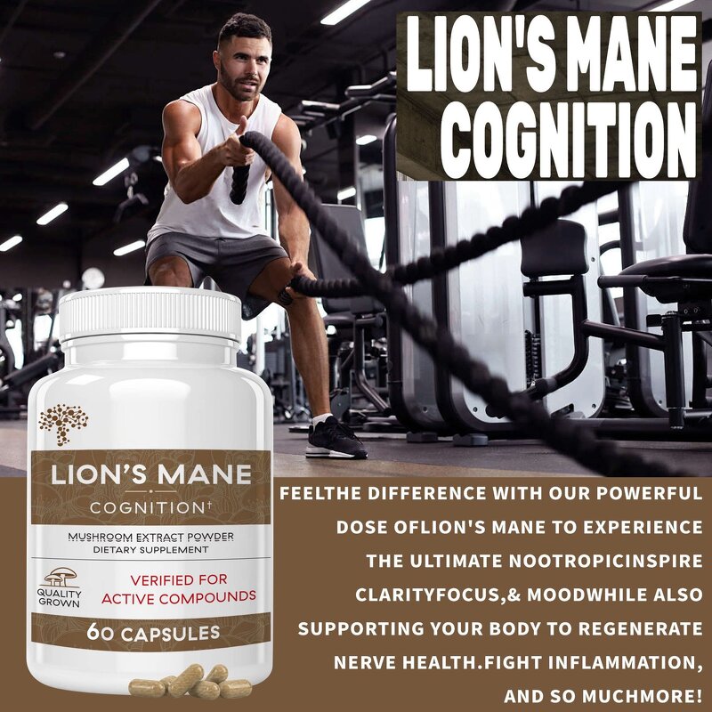 Lion's Mane Capsules Manufacturer - Herbal Extract for Memory OEM