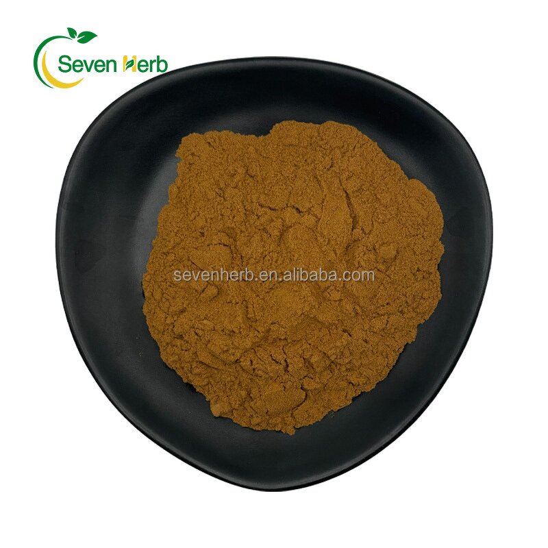 Iceland Moss Extract Powder Manufacturer - 10:1 Cetraria Islandica