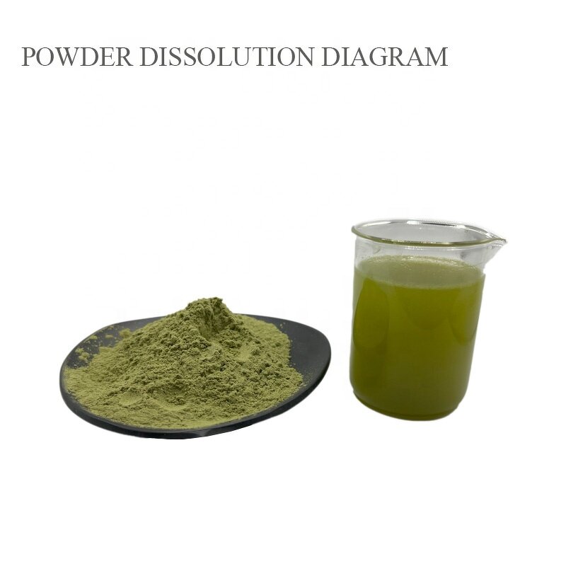 Barley Grass Powder Manufacturer - 100% Pure Organic Juice Extract