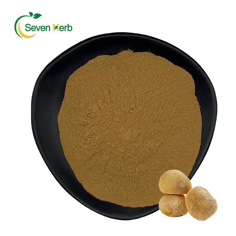 Lion's Mane Extract Powder Manufacturer - Organic 10%-30% Polysaccharides