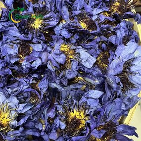 Blue Lotus Flowers Manufacturer - Dried Ground Whole Organic