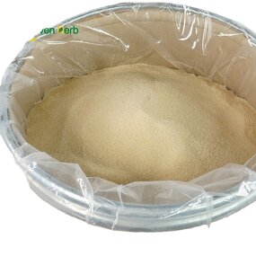 Monk Fruit Powder Manufacturer - Organic Blend with Erythritol