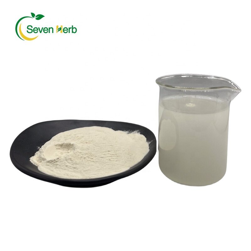 White Kidney Bean Powder Manufacturer - 1%-2% Phaseolin for Weight Loss