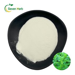 Stevia Powder Manufacturer - Rebaudioside A 97%-98% Erythritol Blend