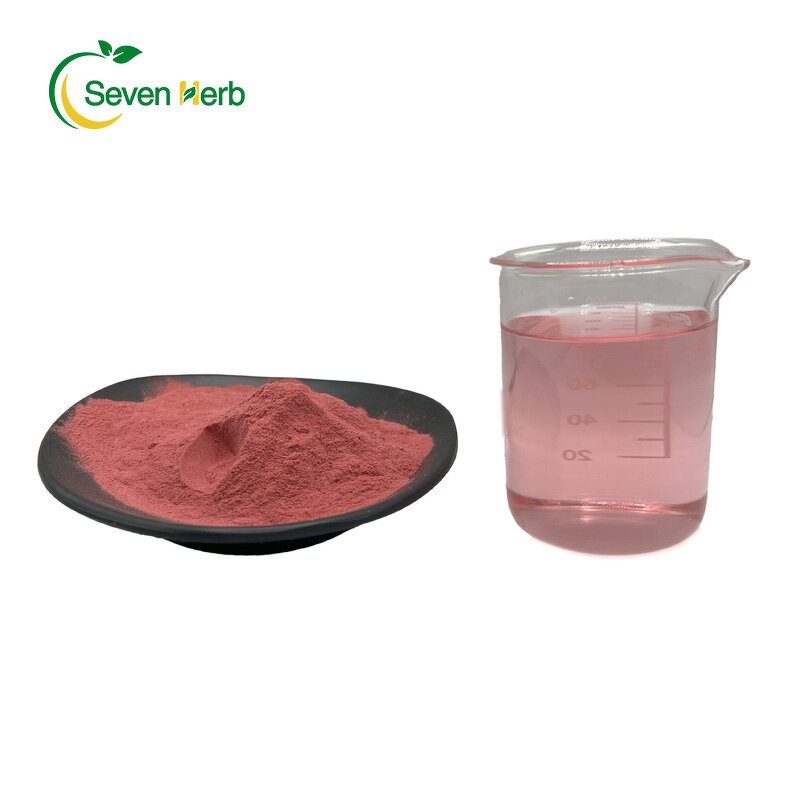 Beetroot Powder Manufacturer - 100% Water Soluble Juice Extract