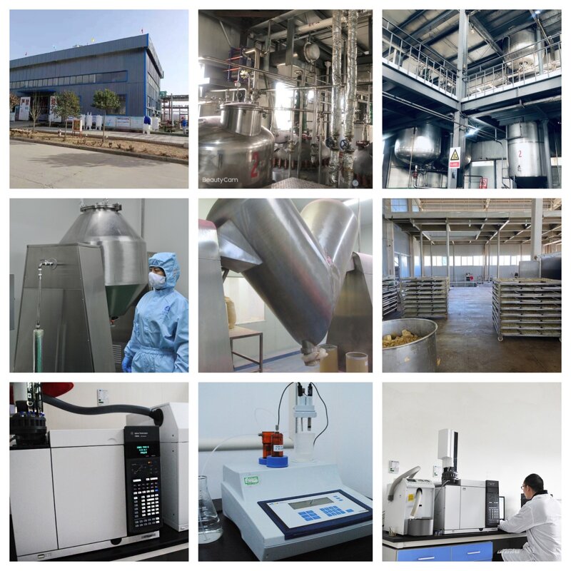 Reishi Extract Capsules Manufacturer - Ganoderma Lucidum 30% Polysaccharide