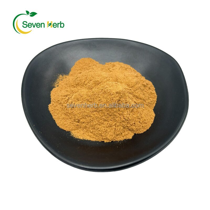 Oregano Extract Powder Manufacturer - 10:1 20:1 Leaf Natural