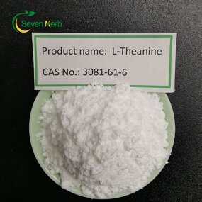 L-Theanine Powder Manufacturer - 99% Purity for Supplements