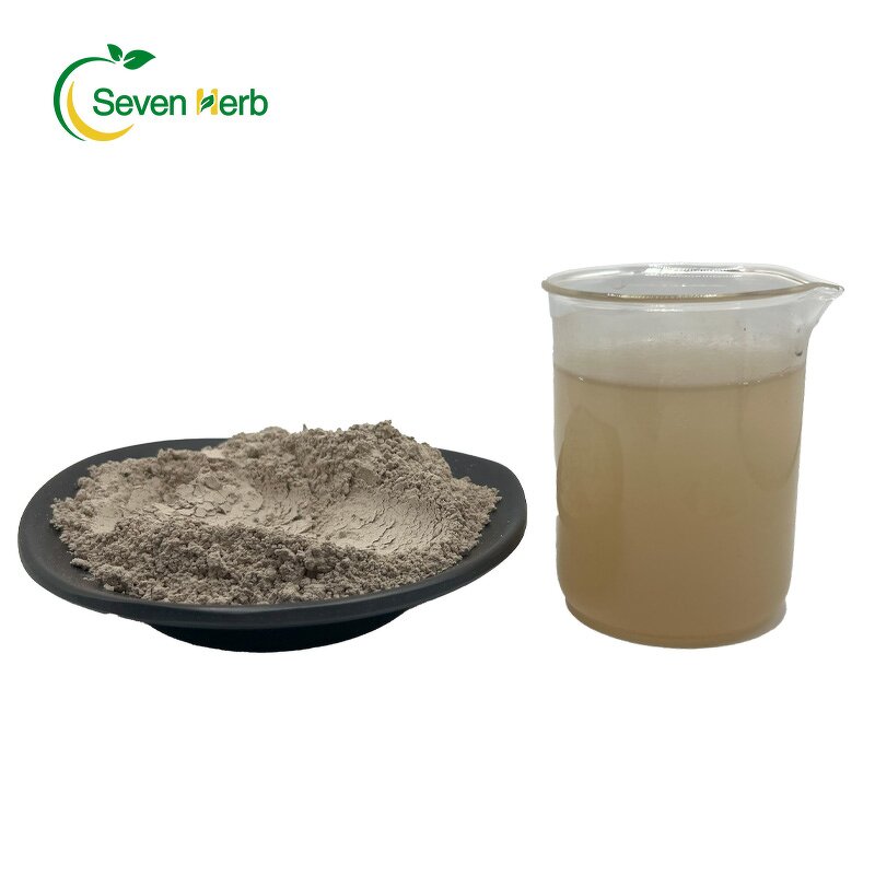 Turkey Tail Extract Powder Manufacturer - Coriolus Versicolor Food Grade