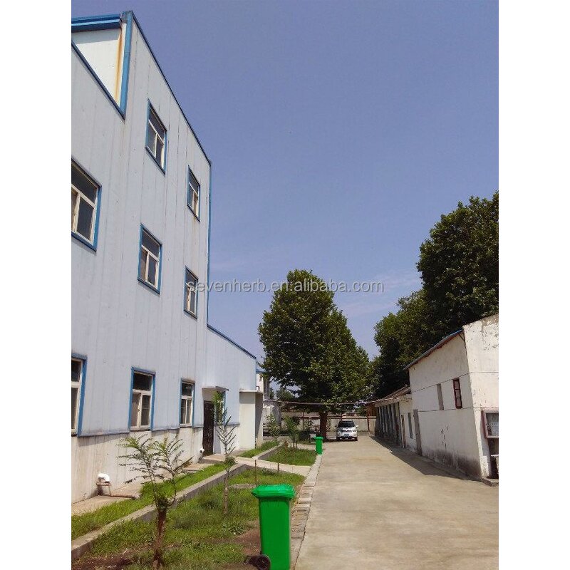 Ashwagandha Extract Powder Manufacturer - 1%-10% Withanolides for Stress