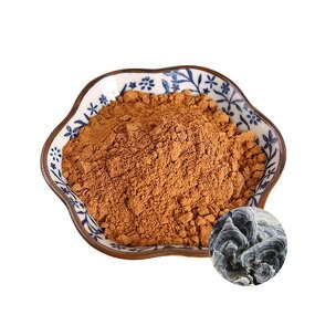 Turkey Tail Extract Powder Manufacturer - Coriolus Versicolor 50% Polysaccharide