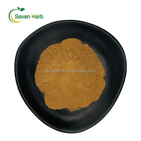 Oregano Extract Powder Manufacturer - 10:1 20:1 Leaf Natural
