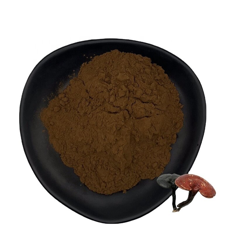 Shiitake Extract Powder Manufacturer - Organic 10%-50% Polysaccharides