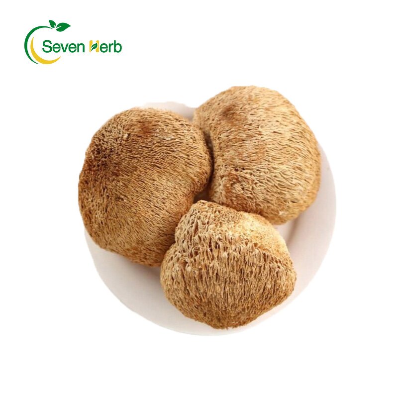 Lion's Mane Mushroom Manufacturer - Dried Hericium Erinaceus