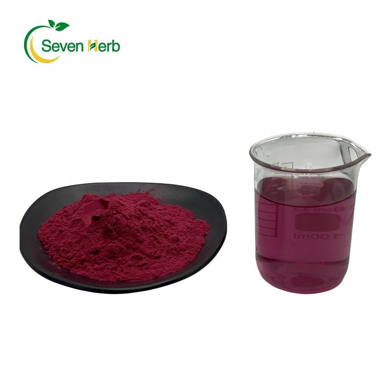 Lingonberry Extract Powder Manufacturer - Fruit for Skin Brightening