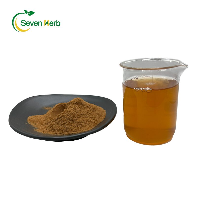 Jujube Seed Extract Powder Manufacturer - Spine Date Ziziphus Jujuba