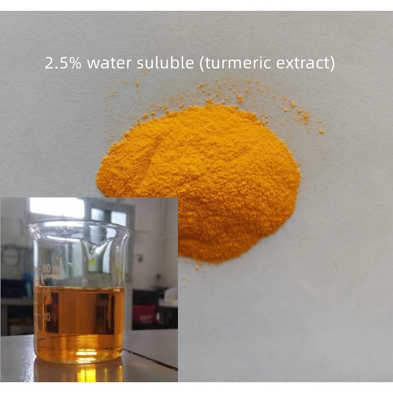 Curcumin Powder Manufacturer - Water Soluble 10%-95% Turmeric Root
