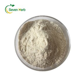 Buckwheat Fiber Powder Manufacturer - 100% Germinated Water Soluble