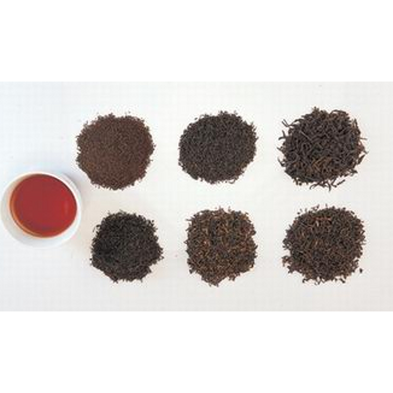 Black Tea Extract Powder Manufacturer - Organic Instant Tea Polyphenols