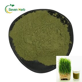Barley Grass Powder Manufacturer - 100% Pure Organic Juice Extract