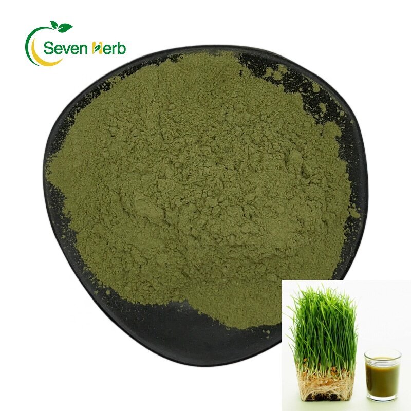 Barley Grass Powder Manufacturer - 100% Pure Organic Juice Extract