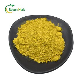 Berberine HCL Powder Manufacturer - 97%-98% Three Needle Extract
