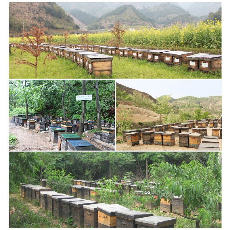 Honey Powder Manufacturer - 100% Pure Freeze-Dried Lyophilized